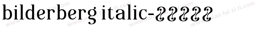 bilderberg italic字体转换